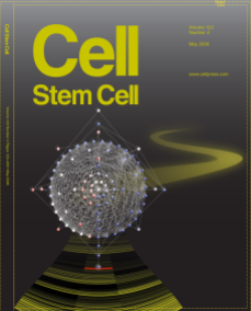 Cell Stem Cell cover bid // Image by Adam Byron